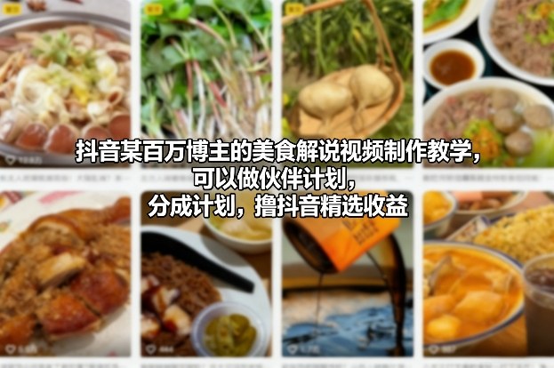 抖音某百万博主的美食解说视频制作教学，可以做伙伴计划，分成计划，撸抖音精选收益-小鹏项目网