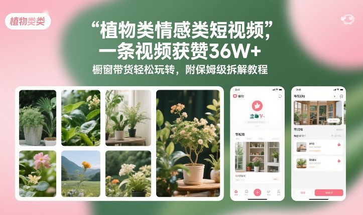 植物类情感类短视频，一条视频获赞36W+，橱窗带货轻松玩转，附保姆级拆解教程-小鹏项目网