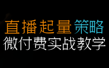 半野老师·直播带货起量与微付费必学课视频号(更新2026)-小鹏项目网