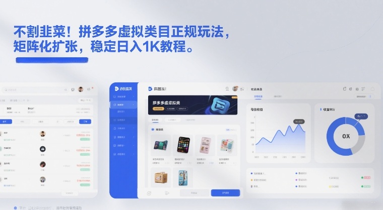 不割韭菜！拼多多虚拟类目正规玩法，矩阵化扩张，稳定日入1K教程【揭秘】-小鹏项目网