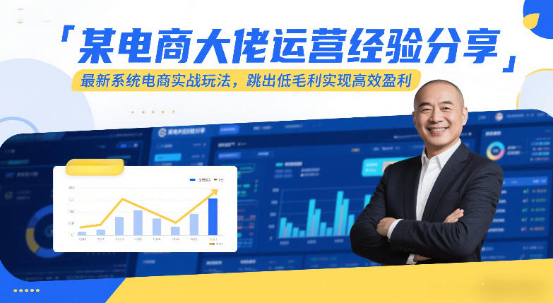 某电商大佬运营经验分享，最新系统电商实战玩法，跳出低毛利实现高效盈利-小鹏项目网