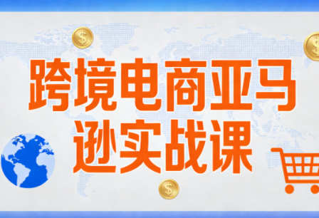 丝丝老师·跨境电商亚马逊实战课(更新2月)-小鹏项目网