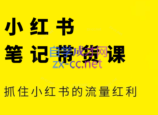 张宾·小红书笔记带货课(更新2026)-小鹏项目网