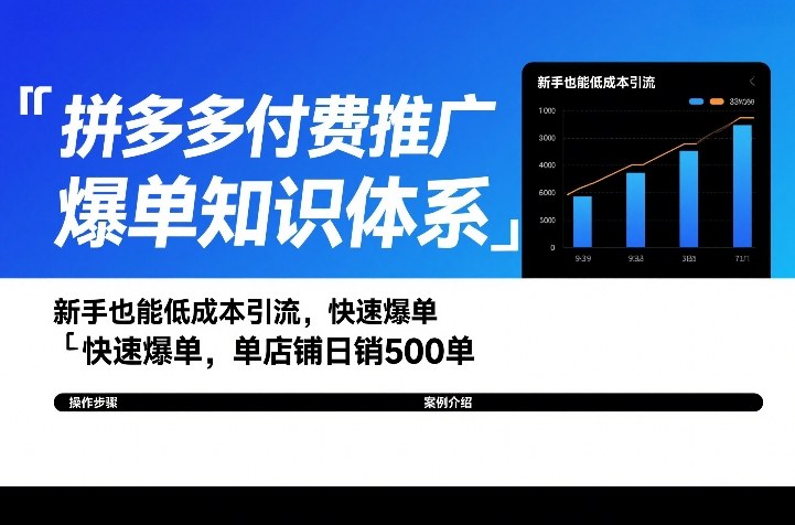拼多多付费推广爆单知识体系，新手也能低成本引流，快速爆单，单店铺日销500单-小鹏项目网