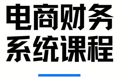 郑老师·电商财务系统课程-小鹏项目网