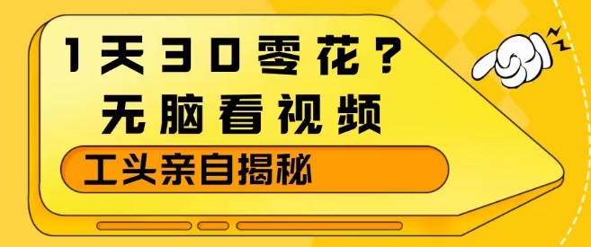 1天30零花？无脑看视频，大佬亲自揭秘-小鹏项目网