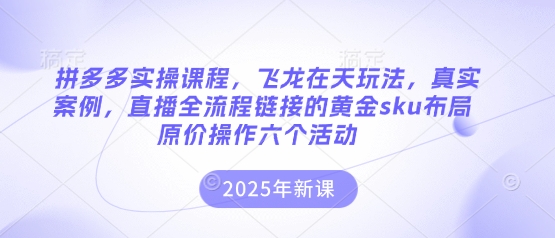 拼多多实操课程，飞龙在天玩法，真实案例，直播全流程链接的黄金sku布局原价操作六个活动-小鹏项目网