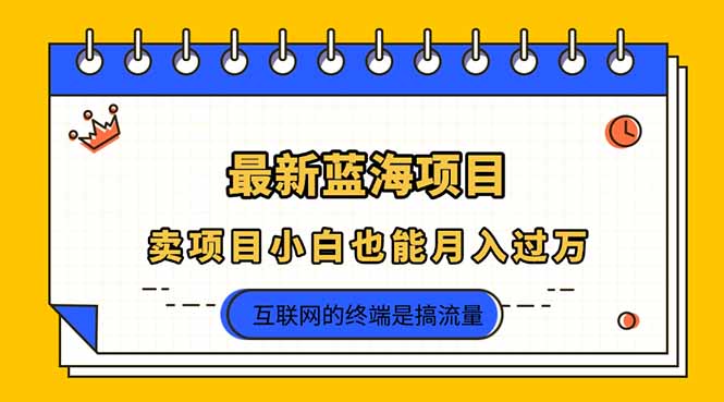 2025年最新蓝海项目，卖项目小白也能月入过万-小鹏项目网