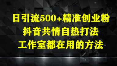 日引流500+精准创业粉，抖音共情自热打法，工作室都在用的方法-小鹏项目网