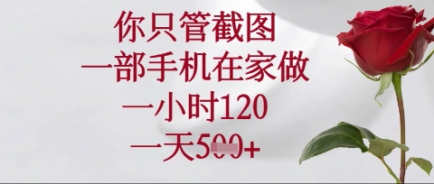 你只管截图，一部手机在家操作，一小时120.一天5张【揭秘】-小鹏项目网
