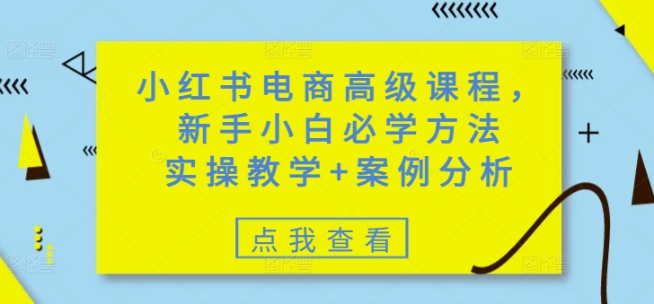 小红书电商高级课程，新手小白必学方法，实操教学+案例分析-小鹏项目网