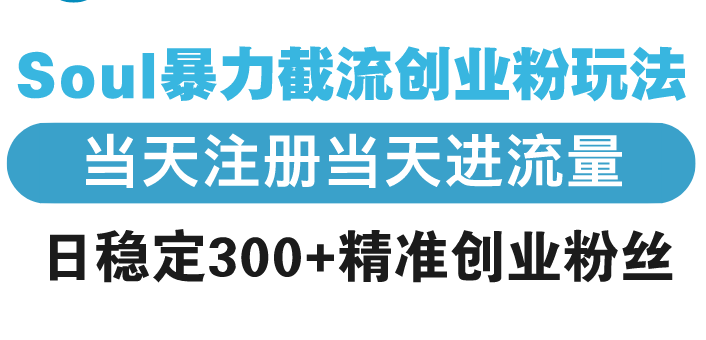 Soul暴力截流创业粉玩法，当天注册当天进流量，日稳定300+精准创业粉丝-小鹏项目网