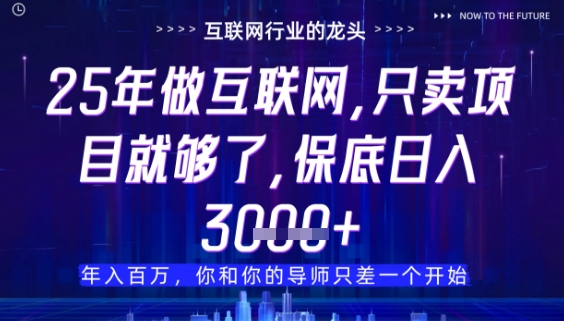 什么！25年你还在找项目做？风口早就变了，卖项目才是稳挣不赔【揭秘】-小鹏项目网
