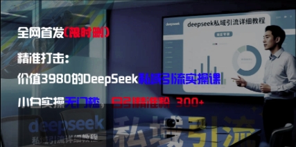 精准打击：价值3980的DeepSeek私域引流实操课，小白实操无门槛，日引精准粉300+-小鹏项目网