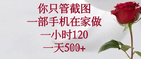 你只管截图，一部手机在家做，苹果安卓都可以，一小时120，一天5张+【揭秘】-小鹏项目网