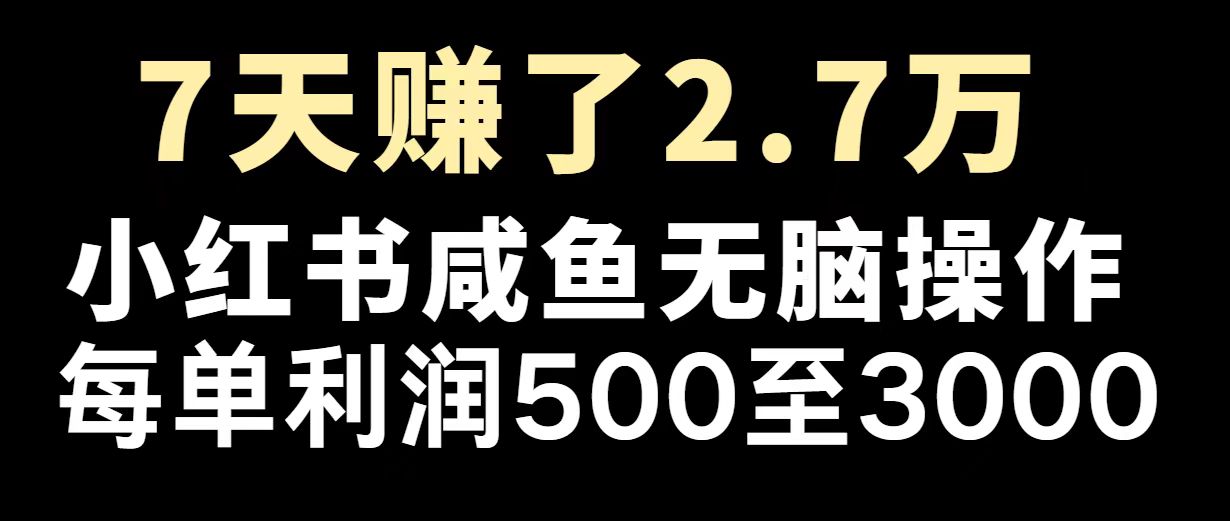 最赚钱项目之一，2025爆火，逆风翻盘！-小鹏项目网