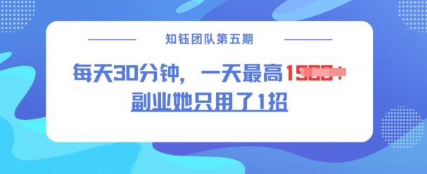 副业她只用了1招，每天30分钟，无脑二创，一天最高1.5k-小鹏项目网