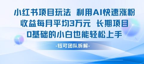 适合小白操作的小红书新项目，利用AI快速涨粉，收益每月平均1W+-小鹏项目网