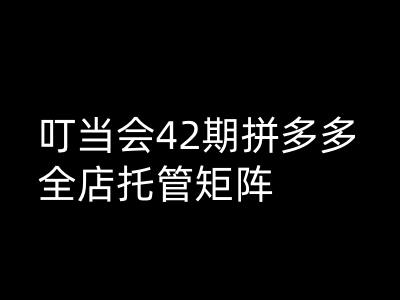 叮当会拼多多打爆班原创高阶技术第42期，拼多多全店托管矩阵-小鹏项目网