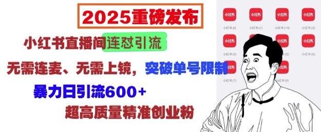 2025重磅发布：小红书直播间连怼引流，无需连麦、无需上镜，突破单号限制，暴力日引流600+-小鹏项目网