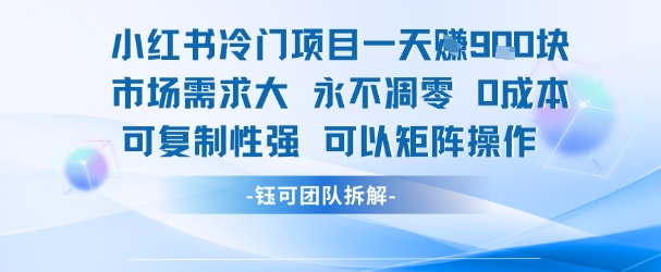小红书冷门项目一天收益9张，市场需求大，0成本，可复制性强可以矩阵操作-小鹏项目网