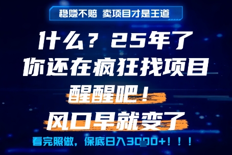 什么？25年你还在疯狂找项目做，醒醒吧，看完这些你全都懂了！【揭秘】-小鹏项目网