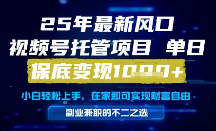 25年最新风口，视频号托管项目，单日保底变现1k+，手把手教学【揭秘】-小鹏项目网