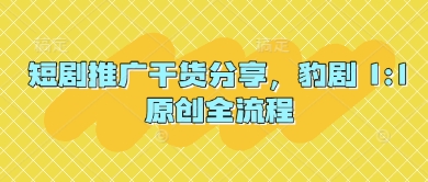 短剧推广干货分享，豹剧 1:1原创全流程-小鹏项目网