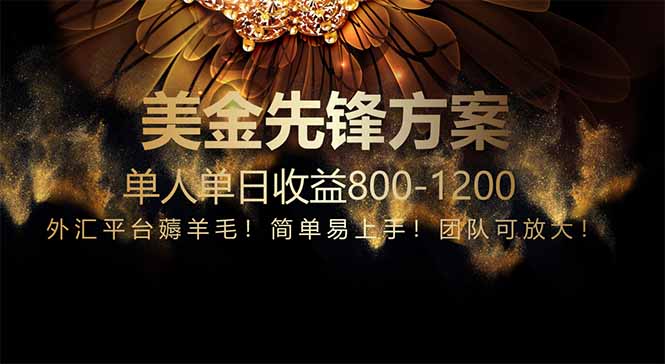 免费技术！小众赛道！一年布局抵三年努力，每日800+-小鹏项目网