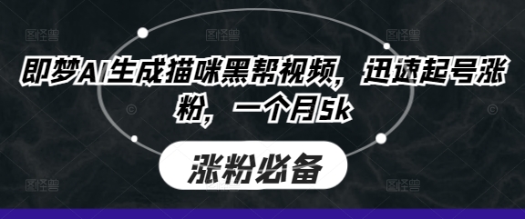 即梦AI生成猫咪黑帮视频，迅速起号涨粉，一个月5k-小鹏项目网