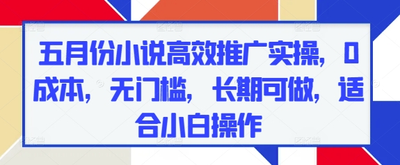 五月份小说高效推广实操，0成本，无门槛，长期可做，适合小白操作-小鹏项目网