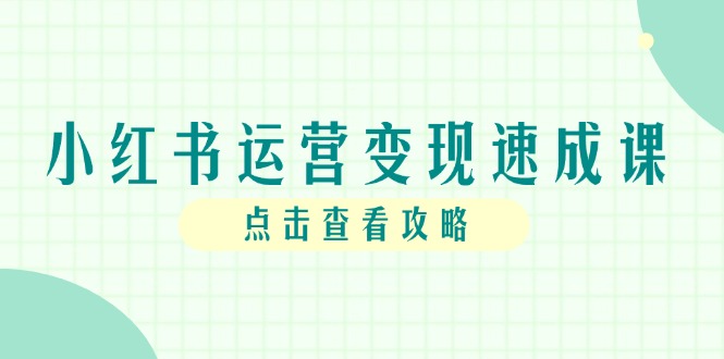 小红书运营变现速成课，账号搭建到暴力起号，个人IP全流程指南-小鹏项目网