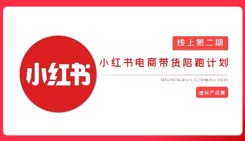 2025小红书虚拟电商实战课，从0到1打造无货源店铺，AI+爆款笔记轻松变现-小鹏项目网