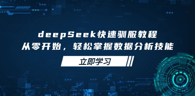 deepSeek快速驯服教程，从零开始，轻松掌握数据分析技能-小鹏项目网