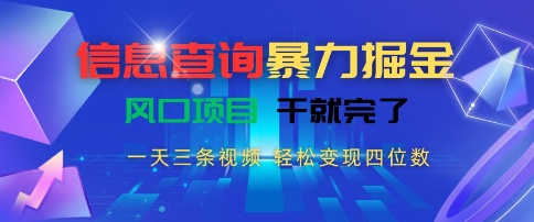 信息查询暴力掘金，一天三条视频，轻松变现四位数，风口项目干就完了【揭秘】-小鹏项目网