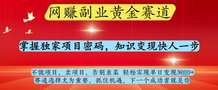 网创副业黄全赛道，掌握独家项目密码，知识变现快人一步，告别韭菜轻松实现单日变现1k+【揭秘】-小鹏项目网