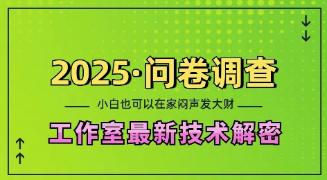 2025问卷调查最新工作室技术解密：一个人在家也可以闷声发大财，小白一天2张，可矩阵放大【揭秘】-小鹏项目网