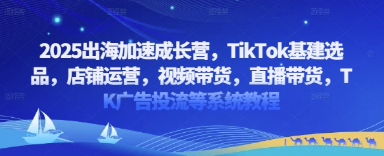 2025出海加速成长营，TikTok基建选品，店铺运营，视频带货，直播带货，TK广告投流等系统教程-小鹏项目网