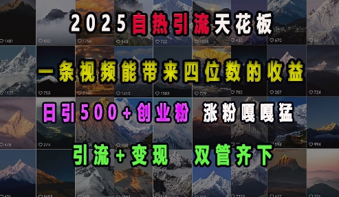 2025自热引流天花板，一条视频能带来四位数的收益，引流+变现双管齐下，日引500+创业粉，涨粉嘎嘎猛-小鹏项目网
