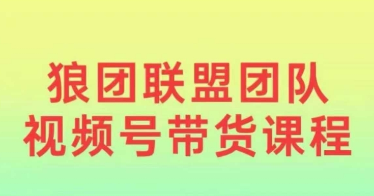 狼团联盟2024视频号带货，0基础小白快速入局视频号-小鹏项目网