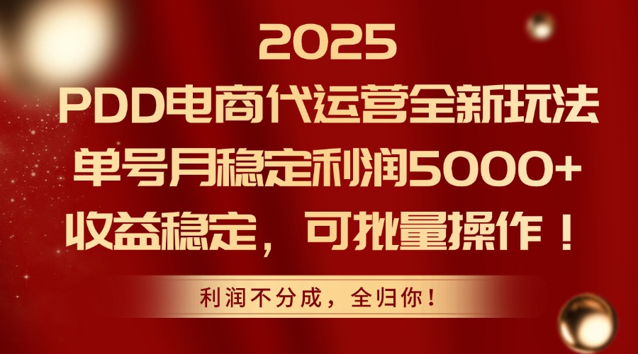 2025PDD电商代运营全新玩法，单号月稳定利润5000+，收益稳定，可批量操作-小鹏项目网