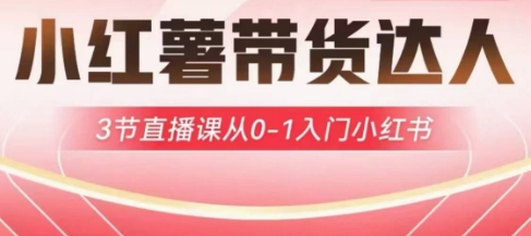 小红薯达人带货启航计划，3节直播课从0-1入门小红书-小鹏项目网