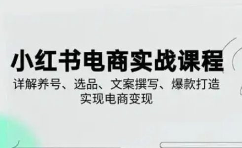 小红书从0-1实操课(2023-2025)，详解养号、选品、文案撰写、爆款打造实现电商变现-小鹏项目网
