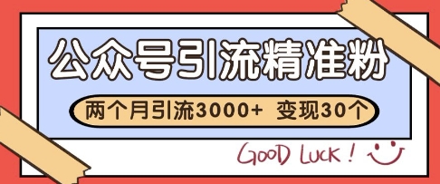 公众号精准粉引流玩法，2个月3000+精准粉，变现30个W【揭秘】-小鹏项目网