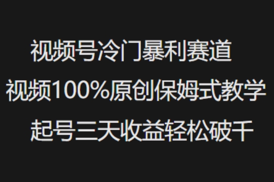 视频号冷门暴利赛道视频100%原创保姆式教学起号三天收益轻松破千-小鹏项目网