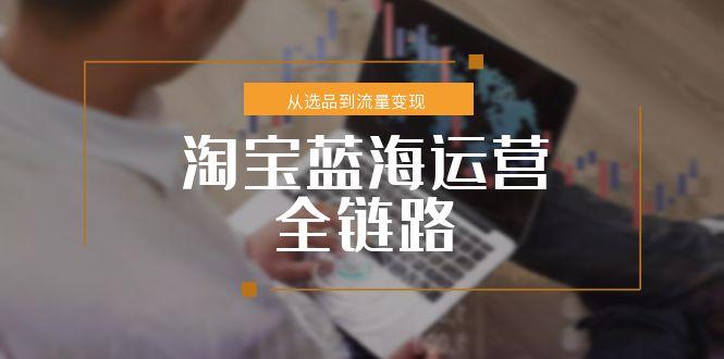 淘宝蓝海运营全链路，从选品到流量变现，小类目突围完整方案-小鹏项目网