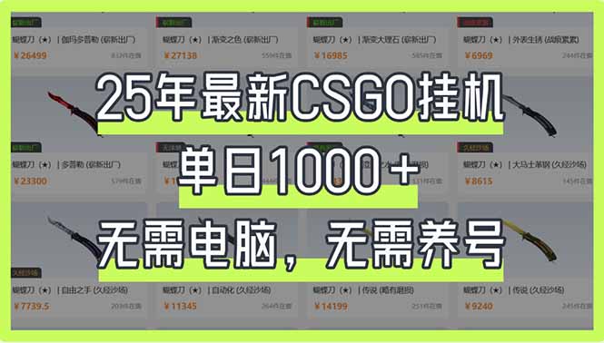 25年最新CSGO挂机系统，单日1000+，无需电脑，无需养号，0基础可上手-小鹏项目网