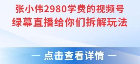 张小伟2980付费额视频号绿幕直播给你们拆解玩法-小鹏项目网
