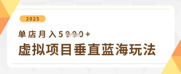 虚拟项目垂直玩法，实现单店月入5k+-小鹏项目网