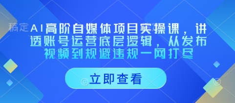 AI高阶自媒体项目实操课，讲透账号运营底层逻辑，从发布视频到规避违规一网打尽-小鹏项目网